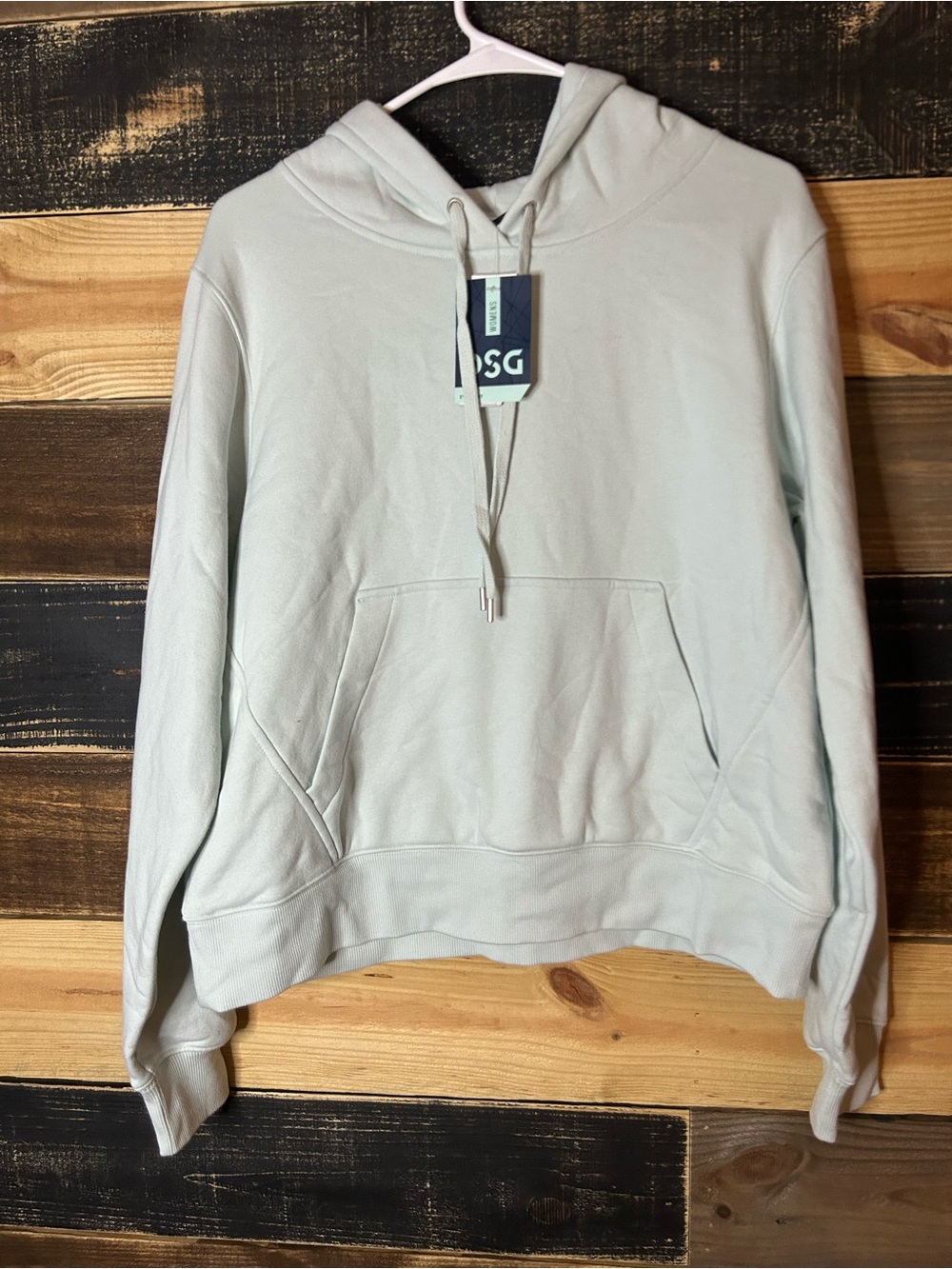 DSG Men's Hoodie in Pale Mint Green